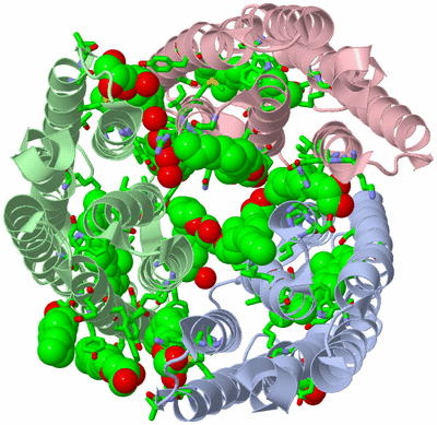 Image Asym./Biol. Unit - sites