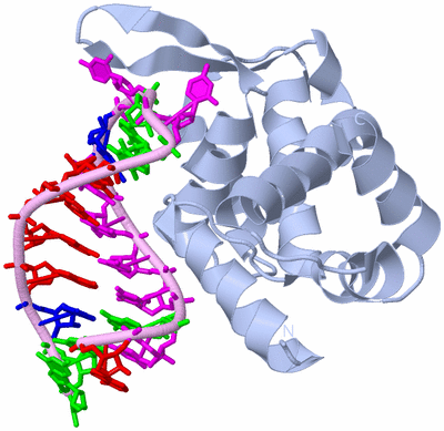 Image Biological Unit 1