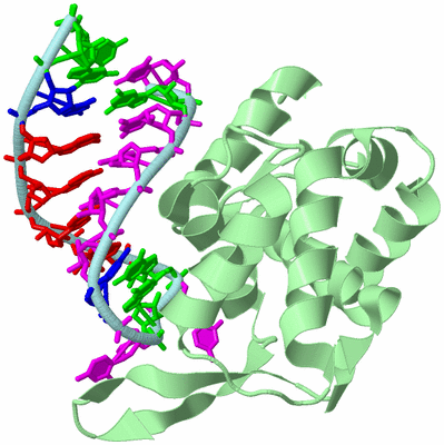 Image Biological Unit 2