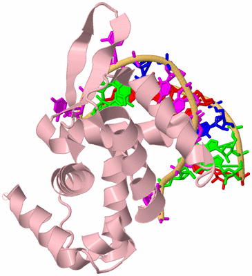 Image Biological Unit 3