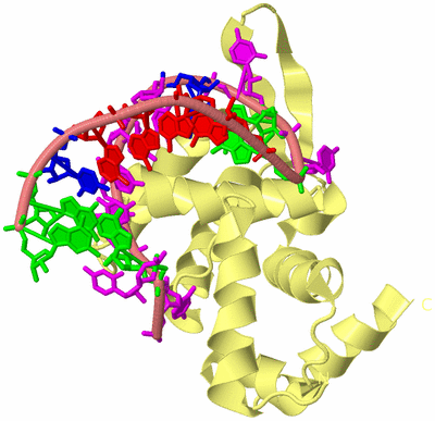 Image Biological Unit 4