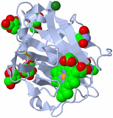 Image Biological Unit 1