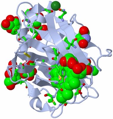 Image Biol. Unit 1 - sites