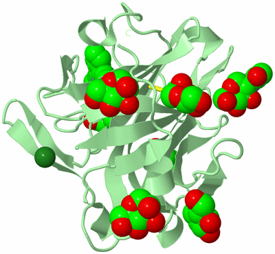 Image Biological Unit 2