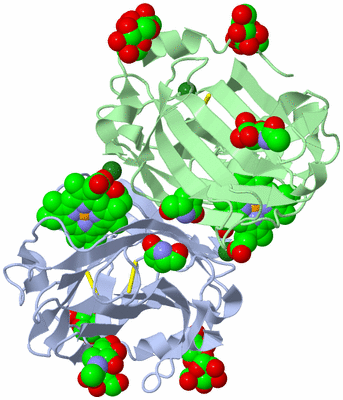 Image Biological Unit 3