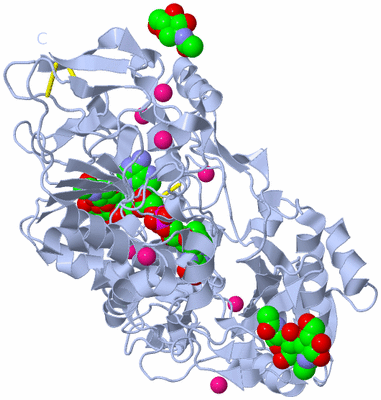 Image Biological Unit 1