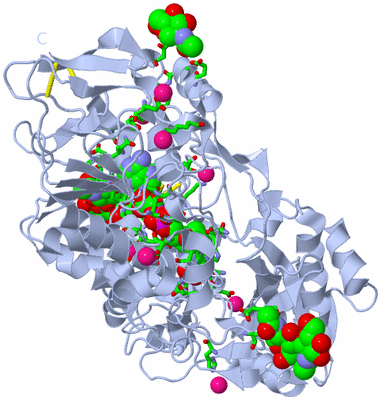 Image Biol. Unit 1 - sites