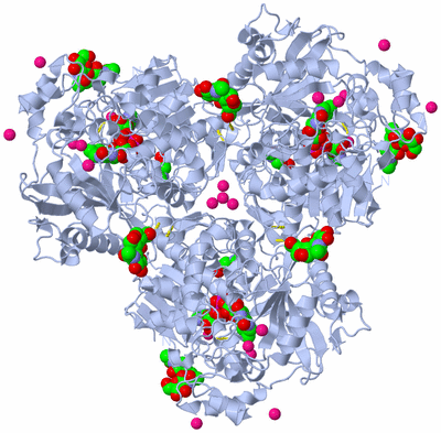 Image Biological Unit 2