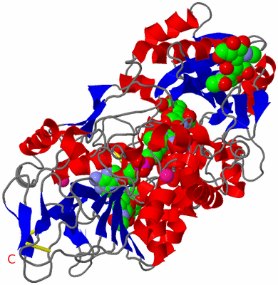 Image Asym./Biol. Unit