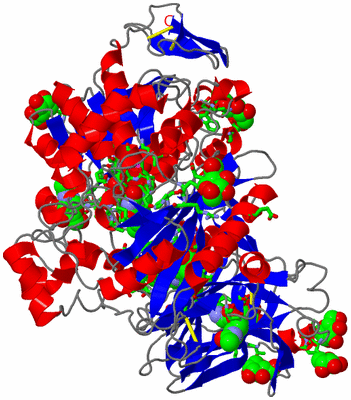 Image Asym./Biol. Unit - sites