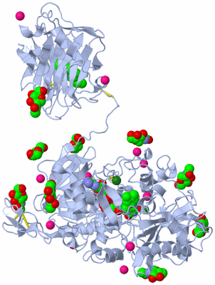 Image Biological Unit 1