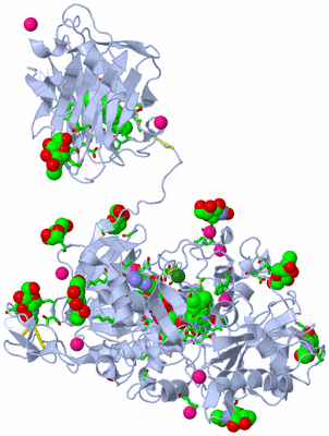 Image Biol. Unit 1 - sites