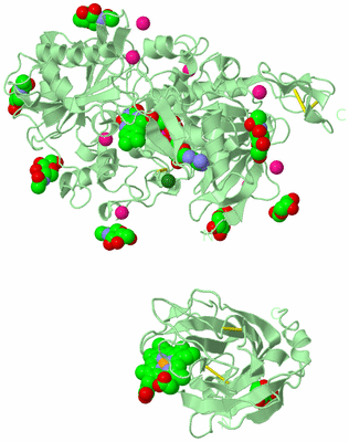 Image Biological Unit 2