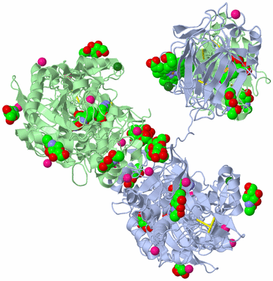 Image Biological Unit 3