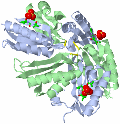 Image Biol. Unit 1 - sites