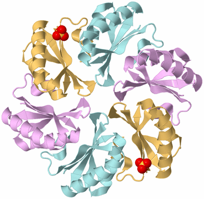 Image Biological Unit 3