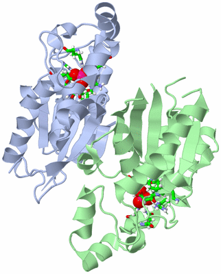 Image Asym./Biol. Unit - sites