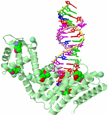 Image Biological Unit 2