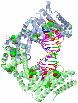 Image Biological Unit 3