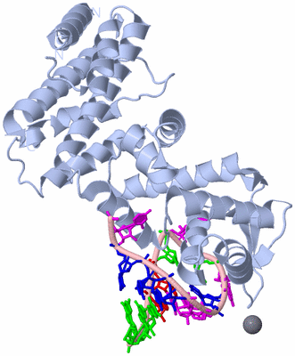 Image Biological Unit 1