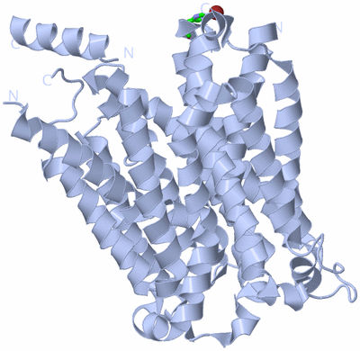 Image Biol. Unit 1 - sites