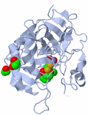 Image Biological Unit 1