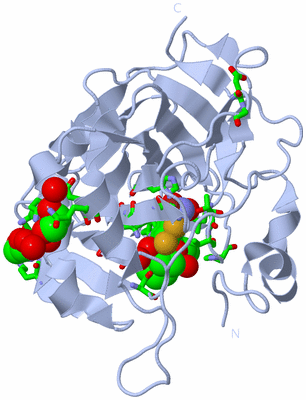 Image Biol. Unit 1 - sites