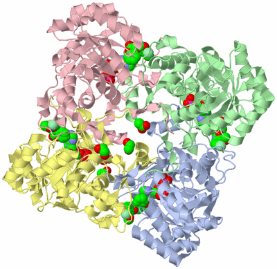 Image Asym./Biol. Unit