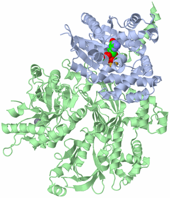 Image Asym./Biol. Unit