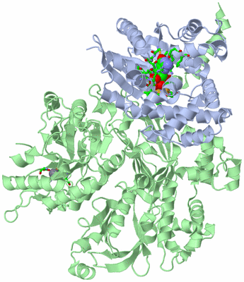 Image Asym./Biol. Unit - sites