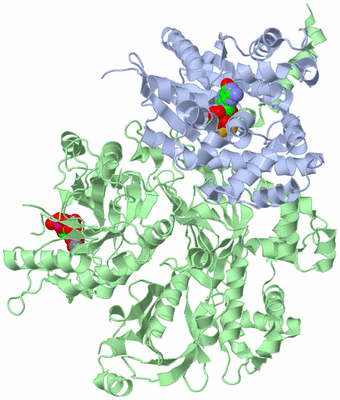 Image Asym./Biol. Unit