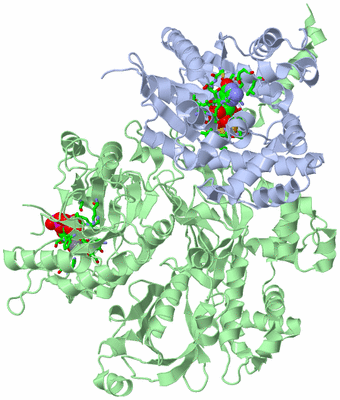 Image Asym./Biol. Unit - sites