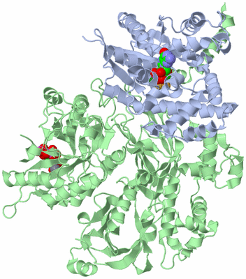 Image Asym./Biol. Unit