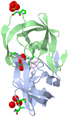 Image Biol. Unit 1 - sites