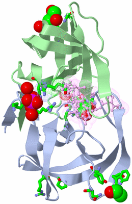 Image Biol. Unit 1 - sites