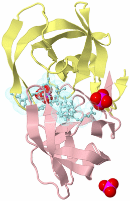 Image Biological Unit 2