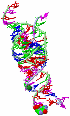 Image Biological Unit 1