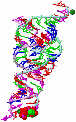 Image Biological Unit 3