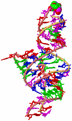 Image Biological Unit 4