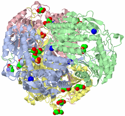 Image Asym./Biol. Unit