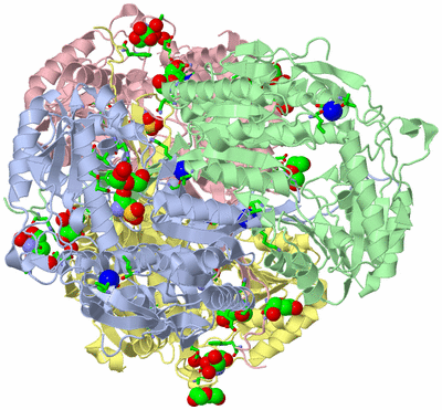 Image Asym./Biol. Unit - sites