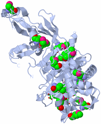 Image Biol. Unit 1 - sites