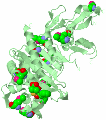 Image Biological Unit 2