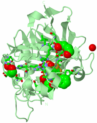 Image Biol. Unit 1 - sites