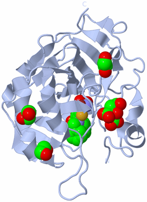 Image Biological Unit 2