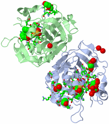 Image Asym. Unit - sites