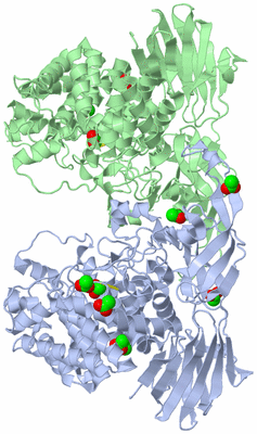 Image Asym./Biol. Unit