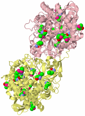 Image Biological Unit 2