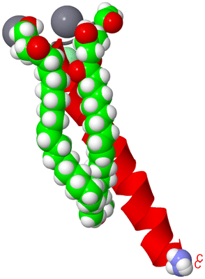 Image Asymmetric Unit