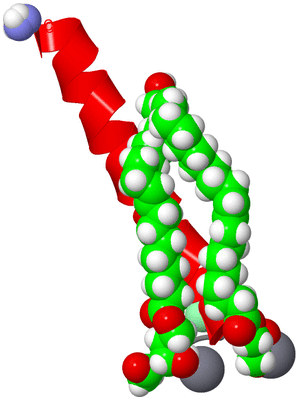 Image Asymmetric Unit